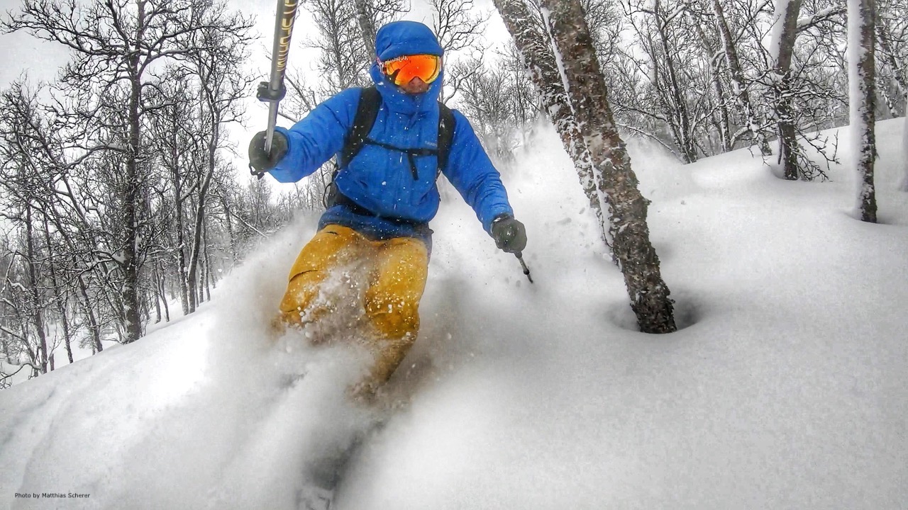 Treeskiing_above_Fjellkysten_©_matthias_scherer