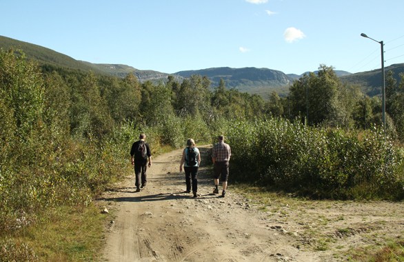 three people walking on gravel road