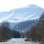 forrest and mountain in winter