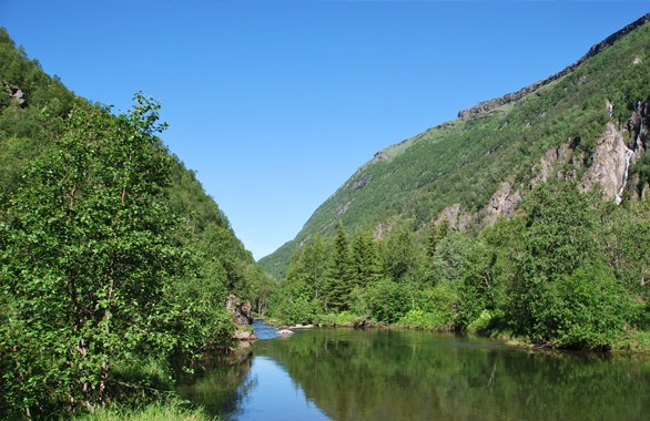 lake surrounded by forrest