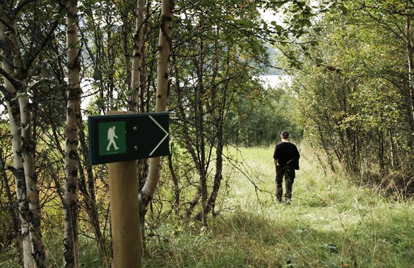 man walking on forrest trail