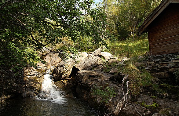 river next to a house