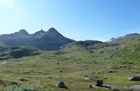 grass field with mountain in background