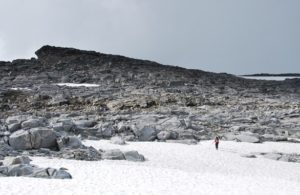 person walking on snow