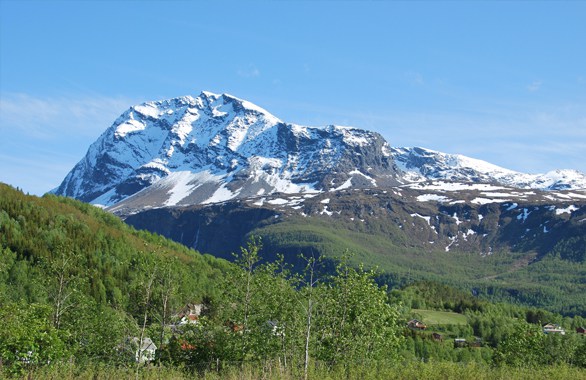 forrest and mountain