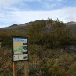 a sign in the forrest