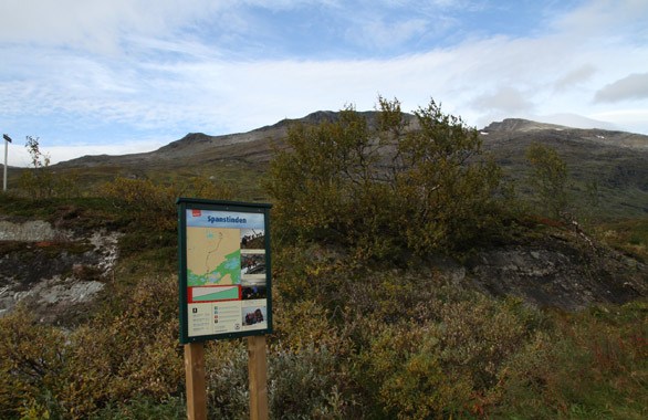 a sign in the forrest